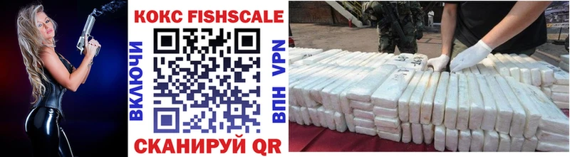 Cocaine FishScale  продажа наркотиков  Тверь 