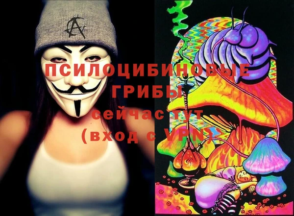 спайс Алексеевка