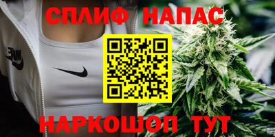 амф Славгород