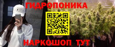 амф Славгород