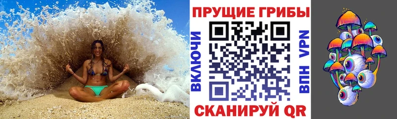 Галлюциногенные грибы Psilocybine cubensis Тверь